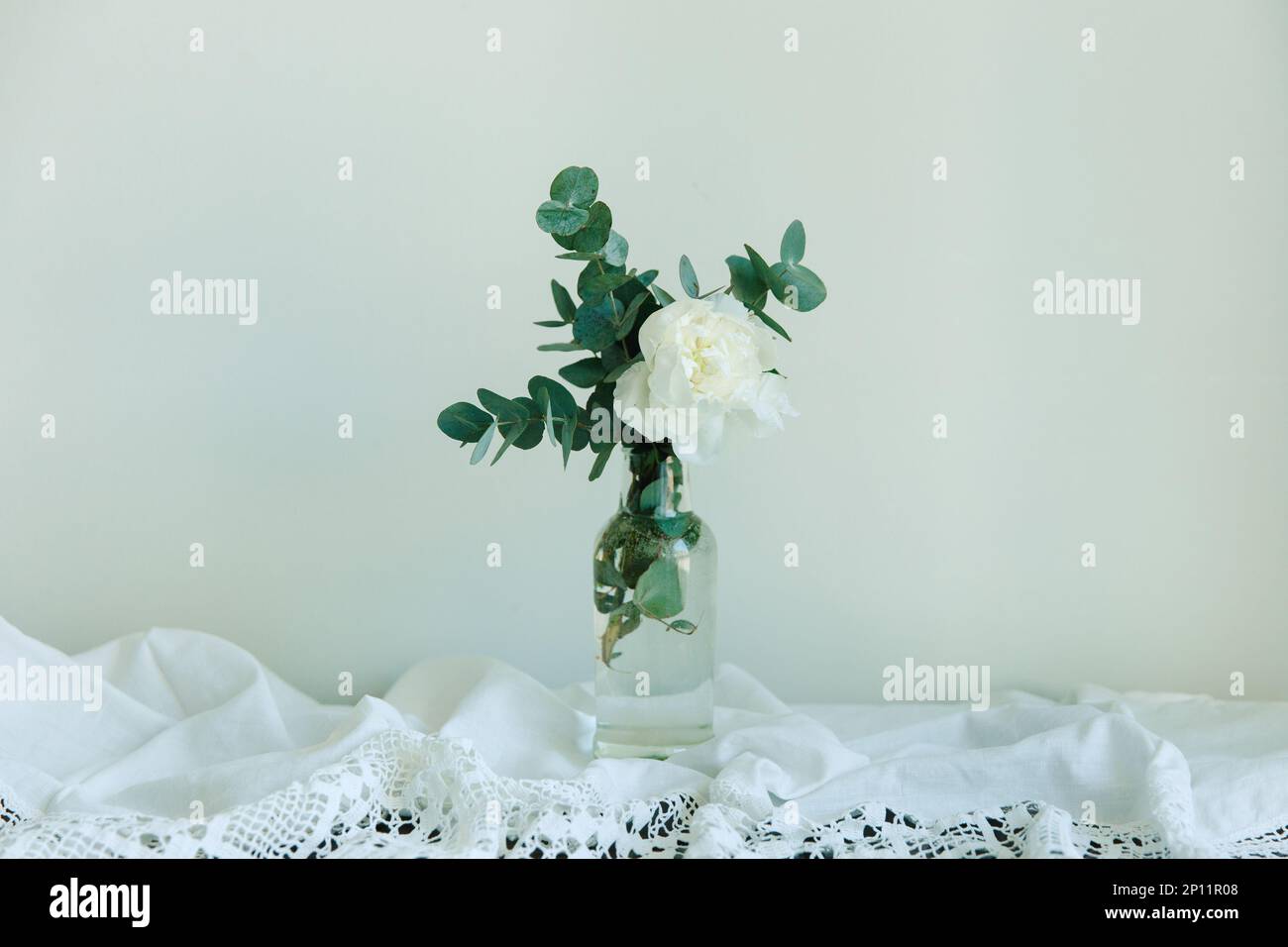 Fiore di peonia bianca ed eucalipto in bottiglia Foto Stock