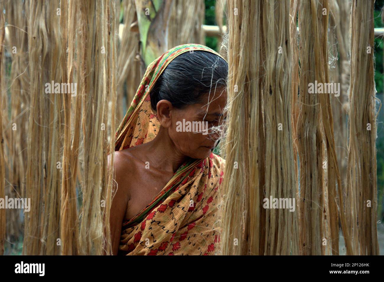 Immagine di una donna che sta elaborando la iuta in Bangladesh. Foto Stock
