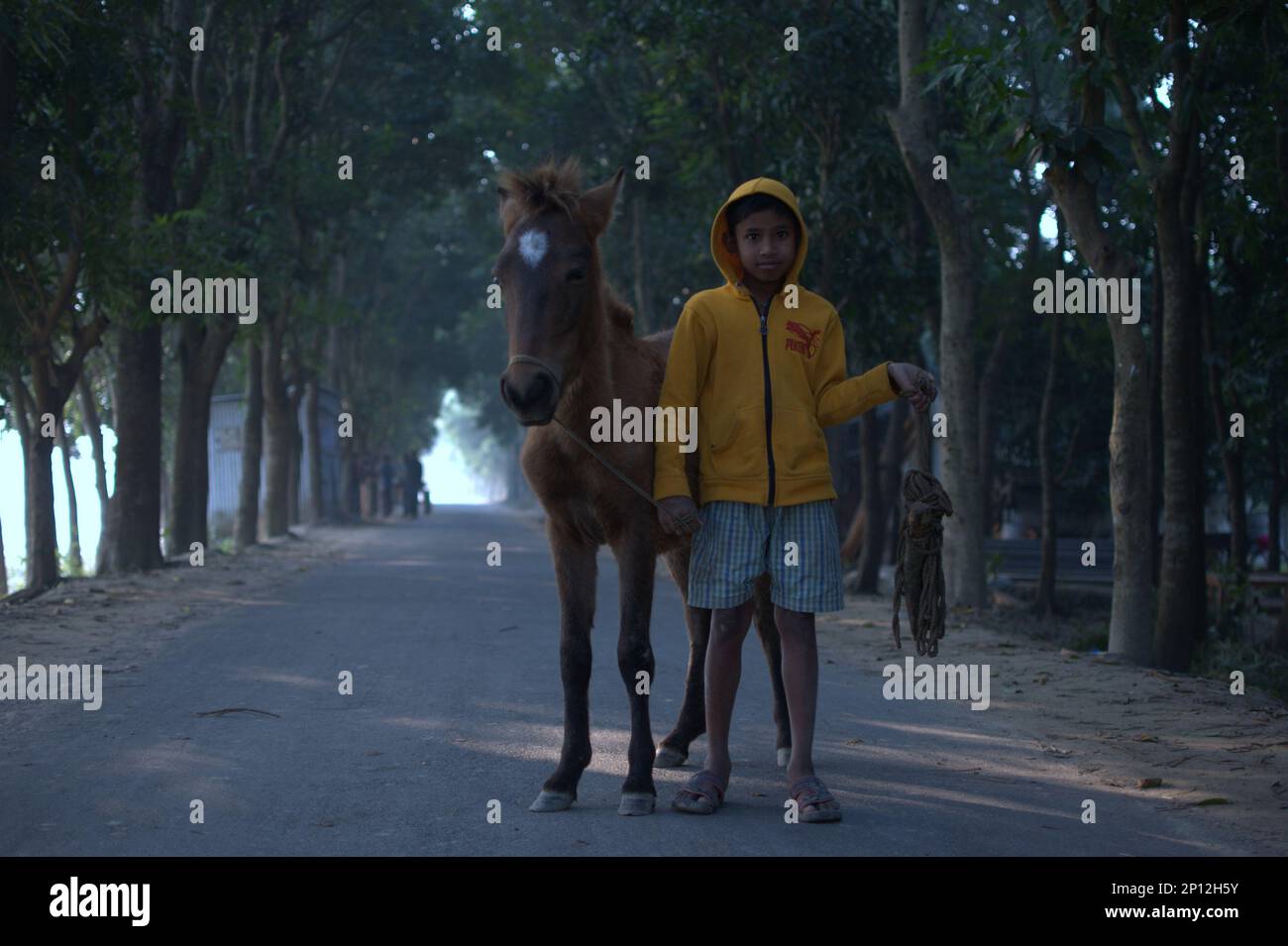 Immagine di un bambino con un cavallo della stessa età in una strada in Bangladesh. Foto Stock