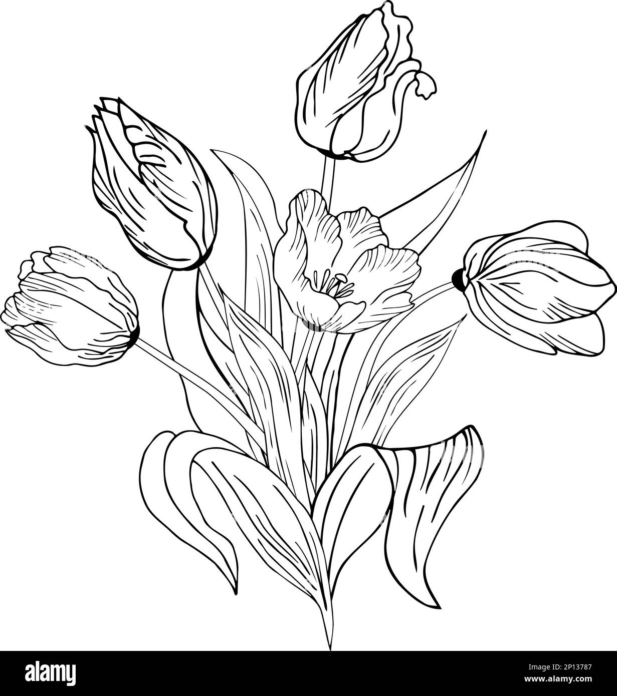 Sfondo floreale con tulipani. Disegno a mano Illustrazione Vettoriale