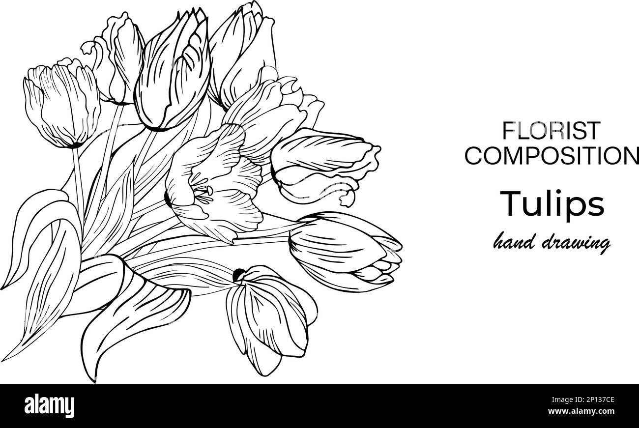 Sfondo floreale con tulipani. Disegno a mano Illustrazione Vettoriale