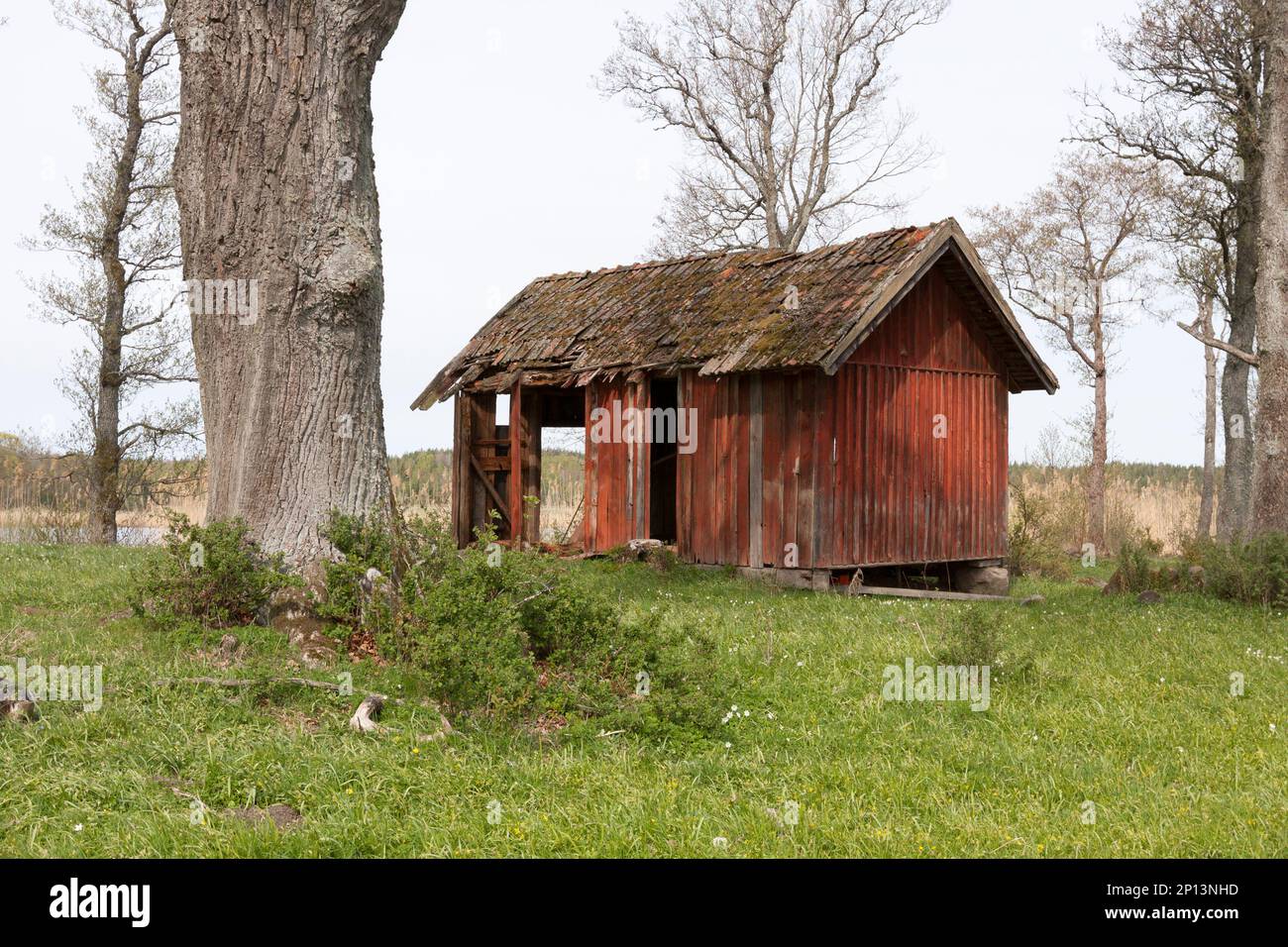 Un capannone abbandonato su una collina. Terreni agricoli e fiori nei dintorni. Foto Stock