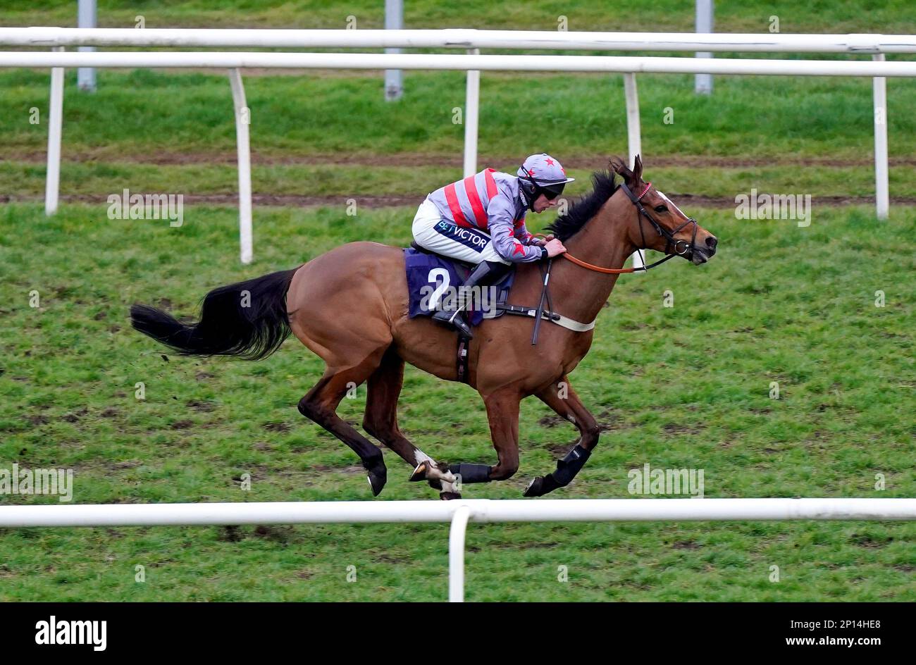 Ernest Gray guidato dal jockey Gavin Sheehan vince la Virgin Bet Daily Price Boosts l'ostacolo handicap di Novices all'ippodromo di Doncaster. Data immagine: Venerdì 3 marzo 2023. Foto Stock