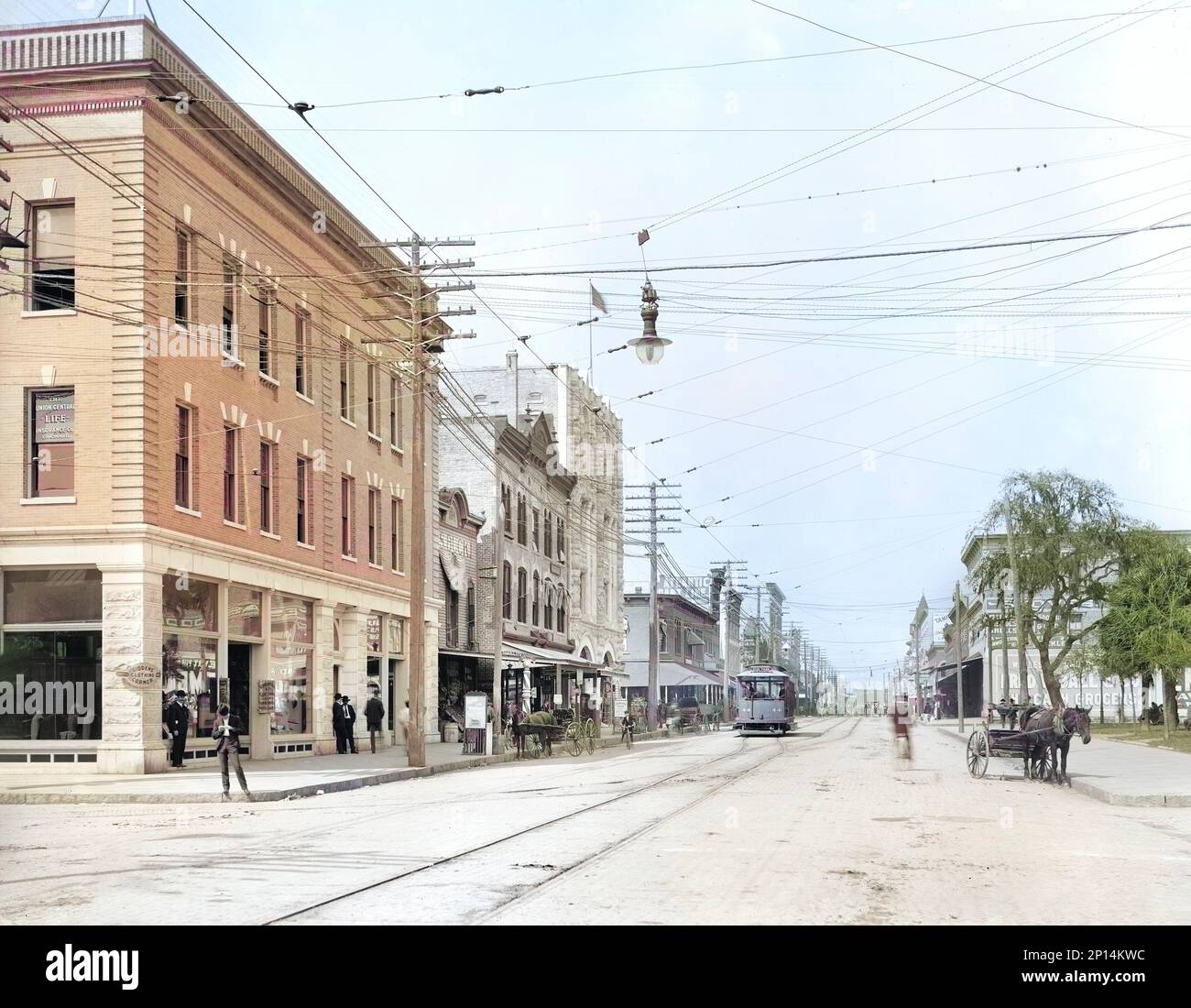 Franklin Street, Tampa, Florida, USA, Detroit Publishing Company, 1905 Foto Stock