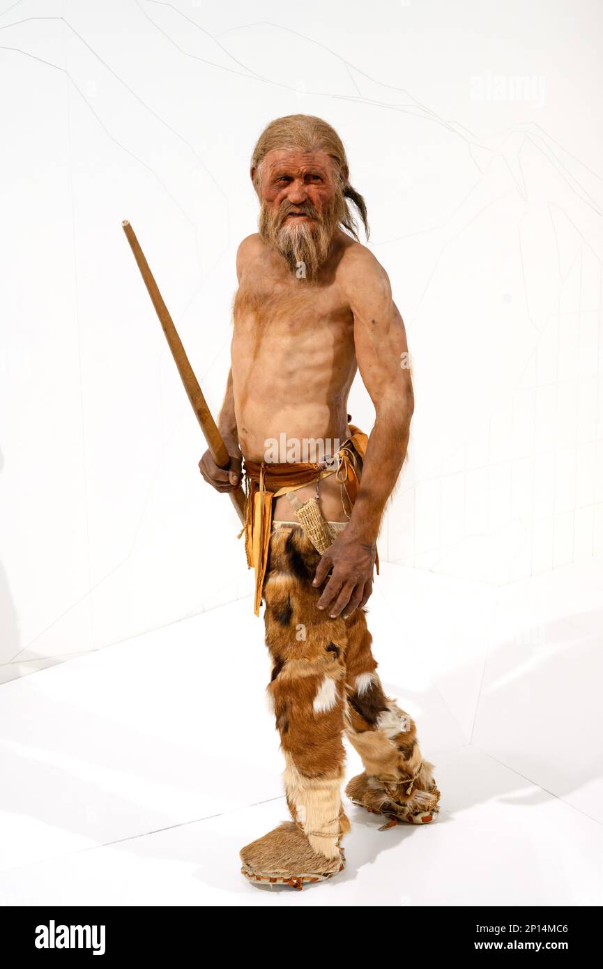 Modello ricostruito di Ötzi, l'uomo venuto dal ghiaccio, nel Museo Archeologico dell'Alto Adige, Bolzano. Foto Stock