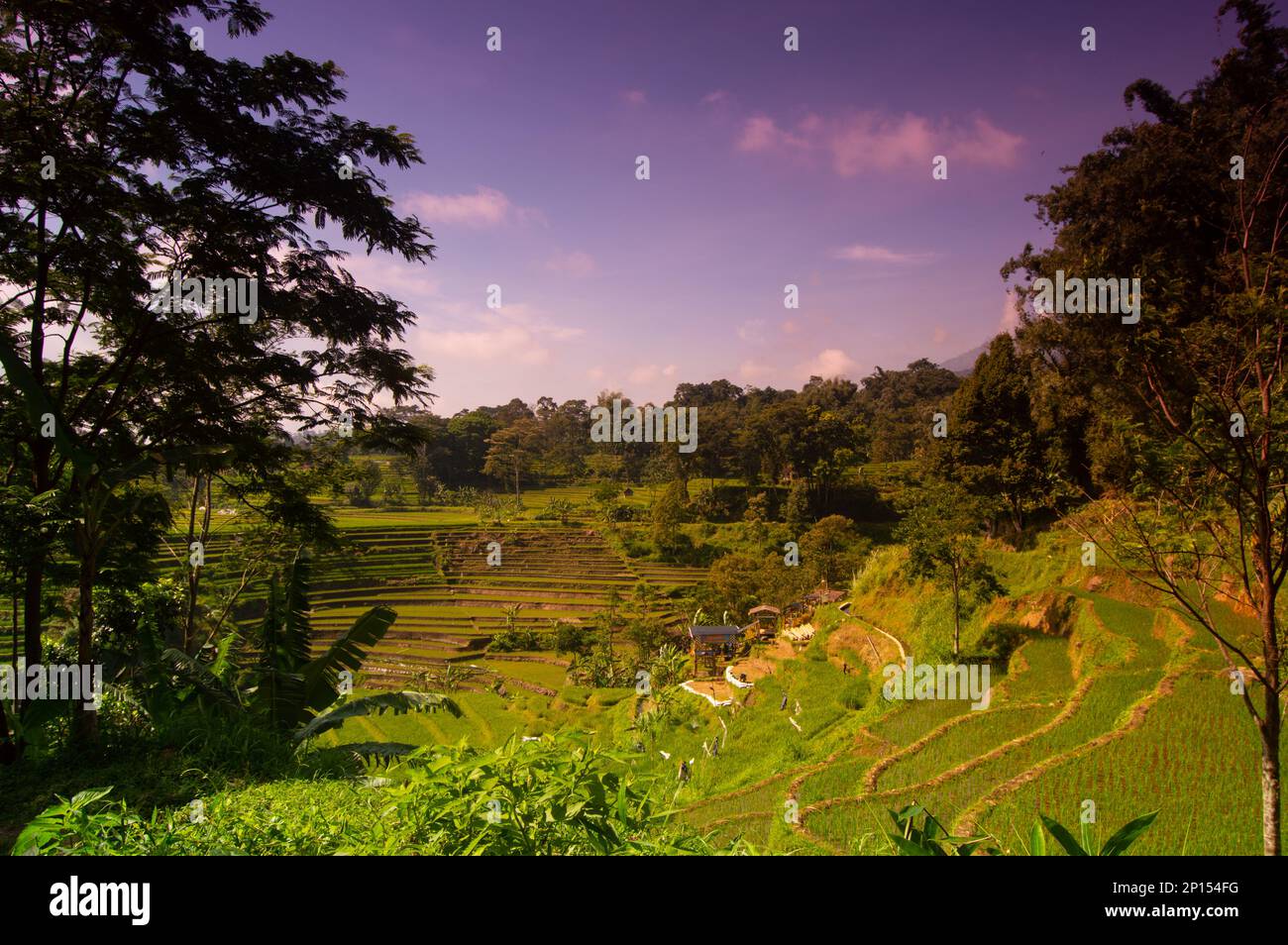 Vista del paesaggio terrazzato di Trawas, Mojokerto, Indonesia. Foto Stock