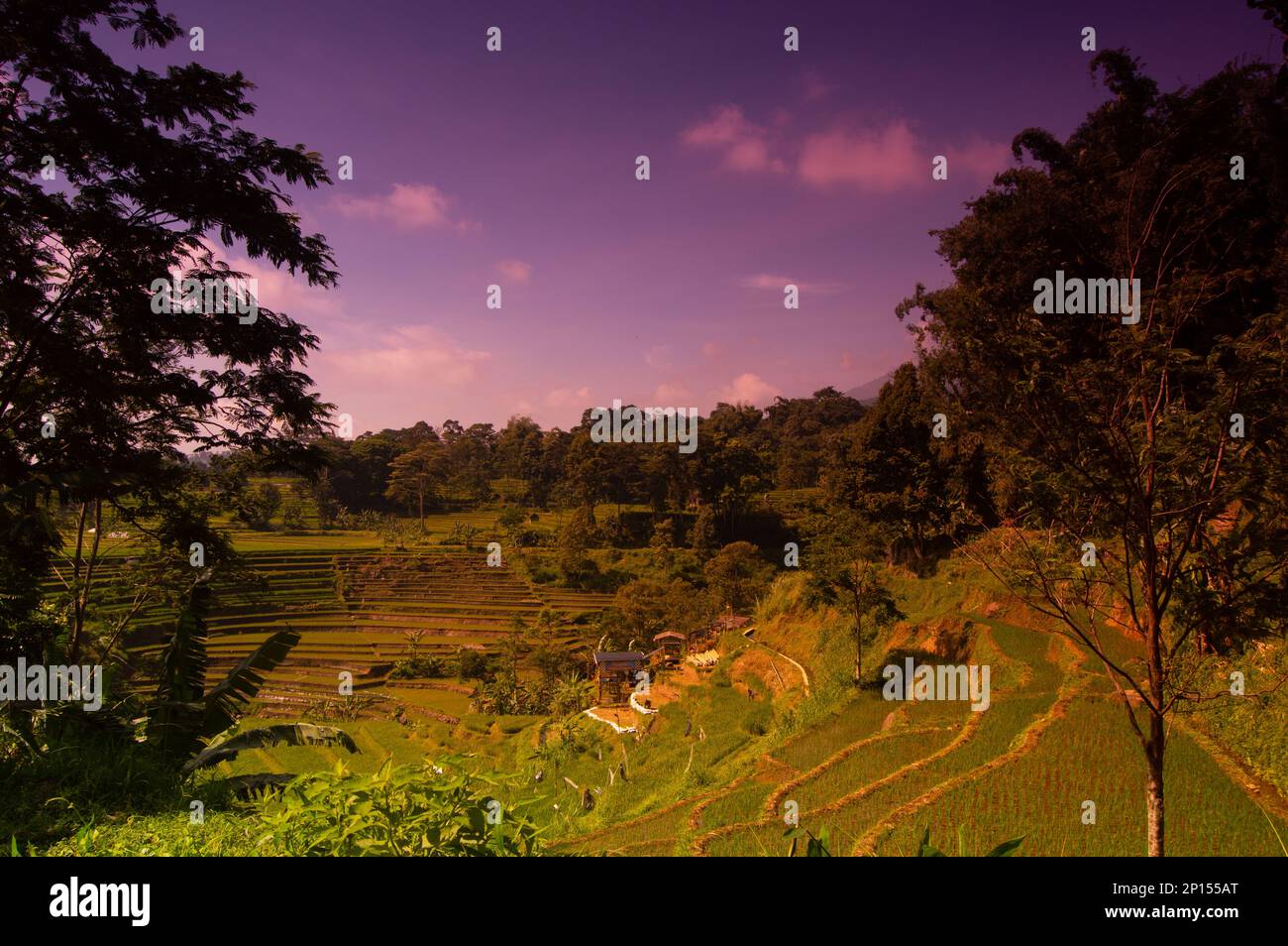Vista del paesaggio terrazzato di Trawas, Mojokerto, Indonesia. Foto Stock
