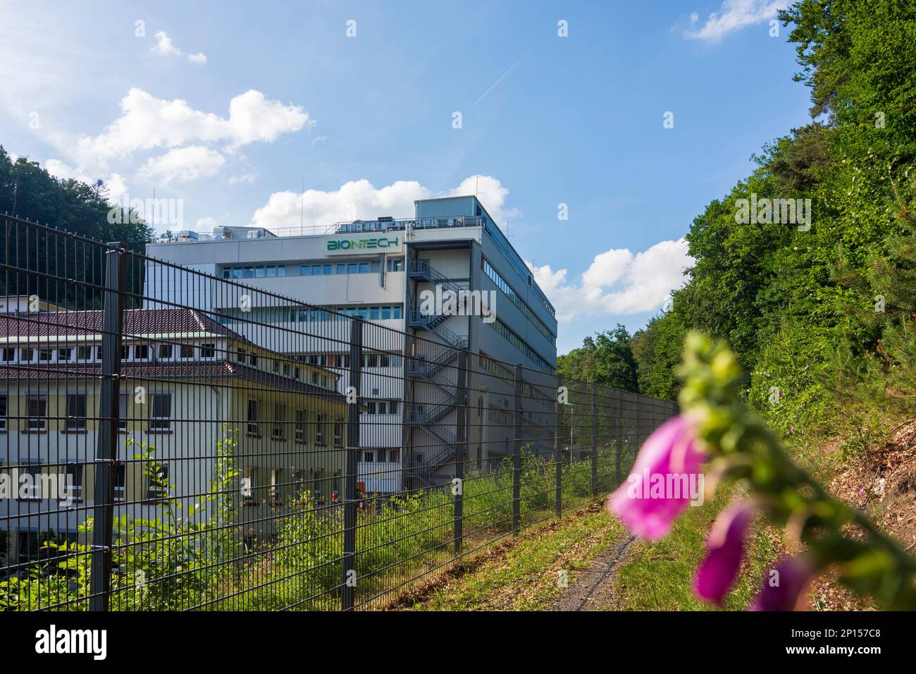 Marburg: Ex produttore farmaceutico Behringwerke, oggi raggruppa aziende biotecnologiche come Biontech a Lahntal, Assia, Assia, Germania Foto Stock