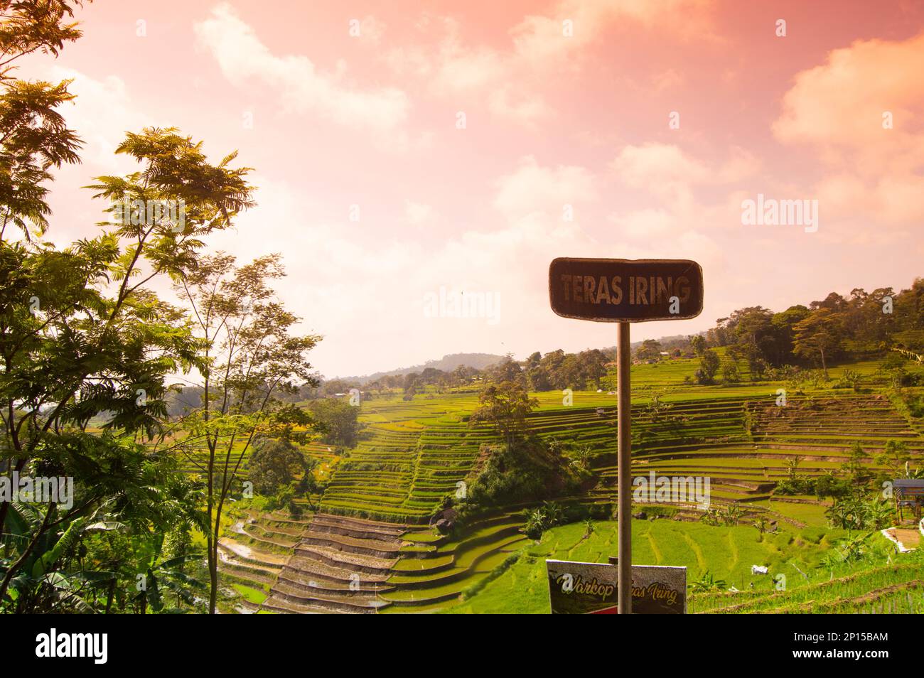 Vista del paesaggio terrazzato di Trawas, Mojokerto, Indonesia. Foto Stock