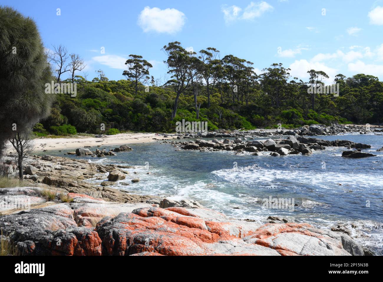 Costa incontaminata e spiagge vicino a Skeleton Bay, Binalong, Tasmania Foto Stock