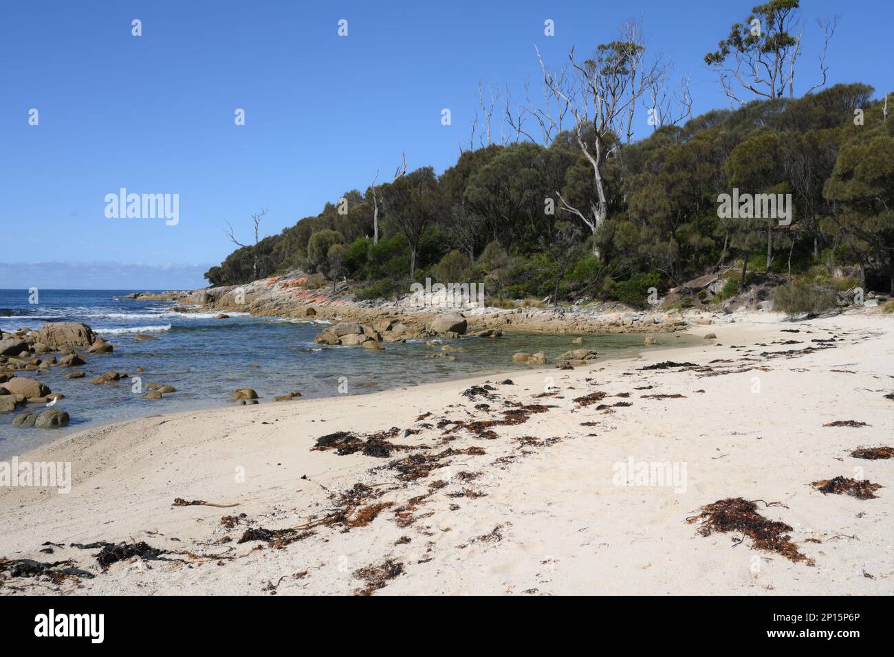 Coste incontaminate e spiagge vicino a Skeleton Bay , Binalong Tasmania Foto Stock