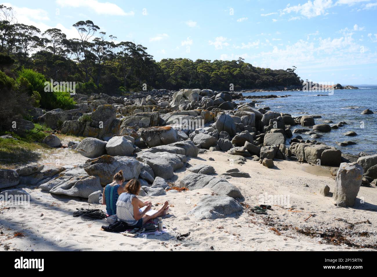 Artisti al lavoro sulla spiaggia isolata in Tasmania con la costa incontaminata e le spiagge vicino a Skeleton Bay , Binalong, Tasmania per ispirazione Foto Stock