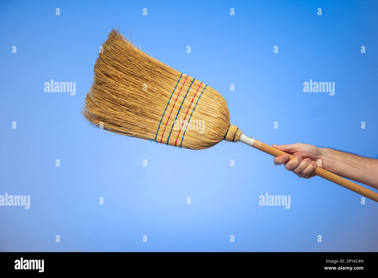 Mano maschio caucasica che tiene una scopa intrecciata isolata su sfondo blu. Foto Stock