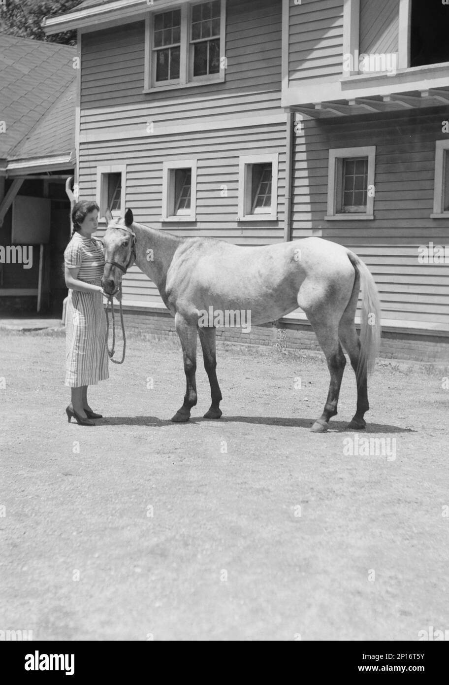 Rosen, Ann, Miss, a cavallo, tra il 1932 e il 1942. Foto Stock