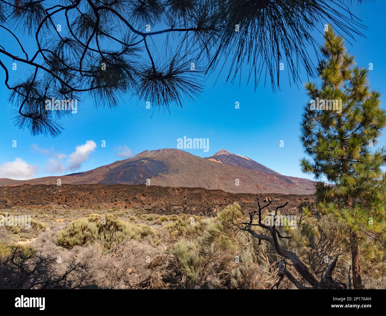 Monte Teide Parco Nazionale Tenerife Isole Canarie Foto Stock