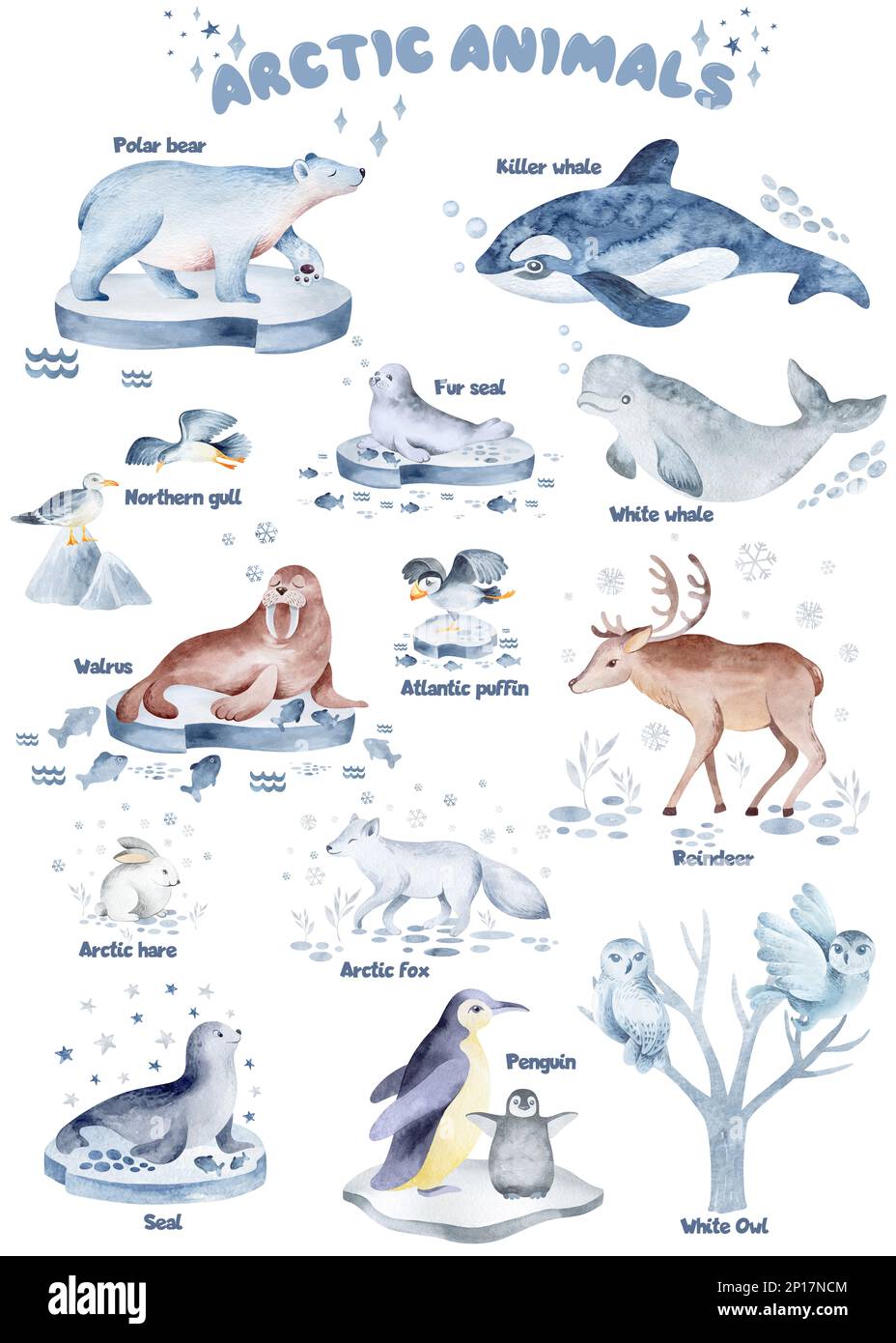 Tracce di animali. Silhouette dei piedi degli animali. Percorso per camminare sulle zampe di animali selvatici o impronte. Footprint acquerello. Foto Stock