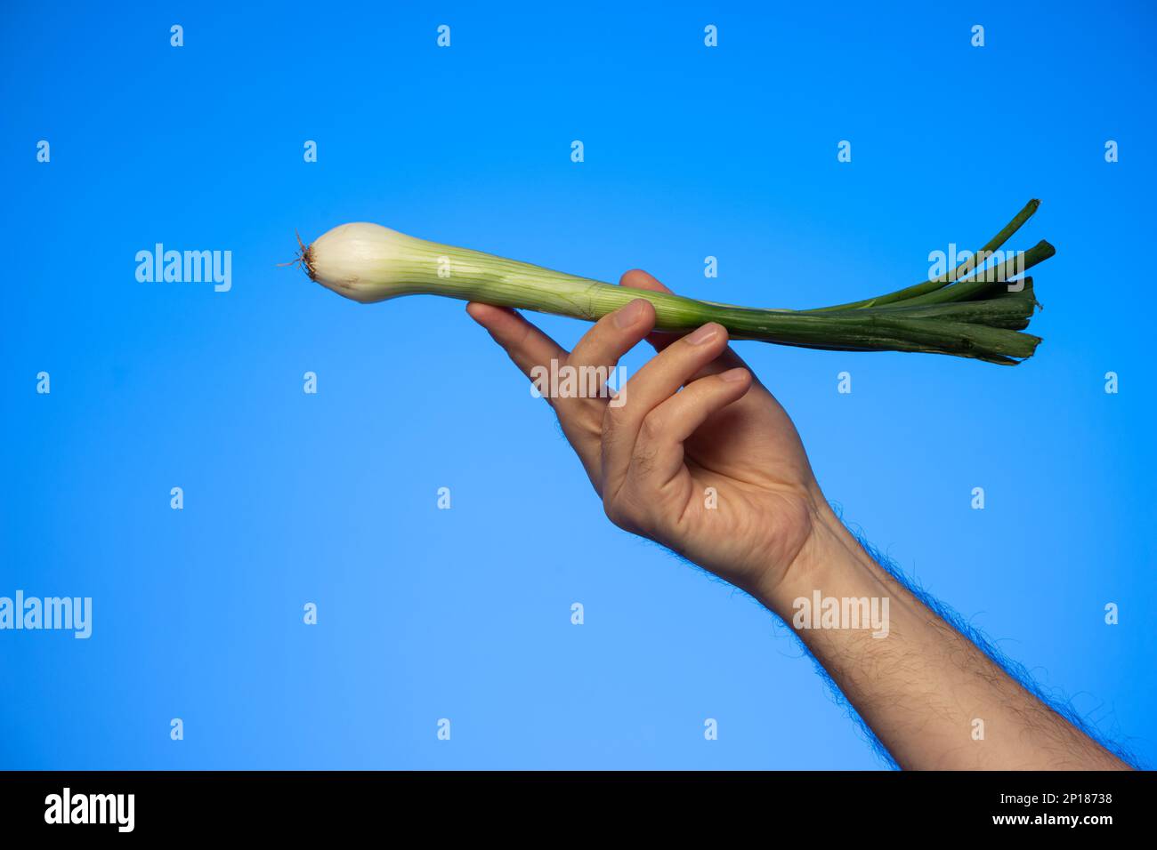 Mano maschio caucasica che tiene una cipolla fresca primo piano studio shot isolato su blu. Foto Stock