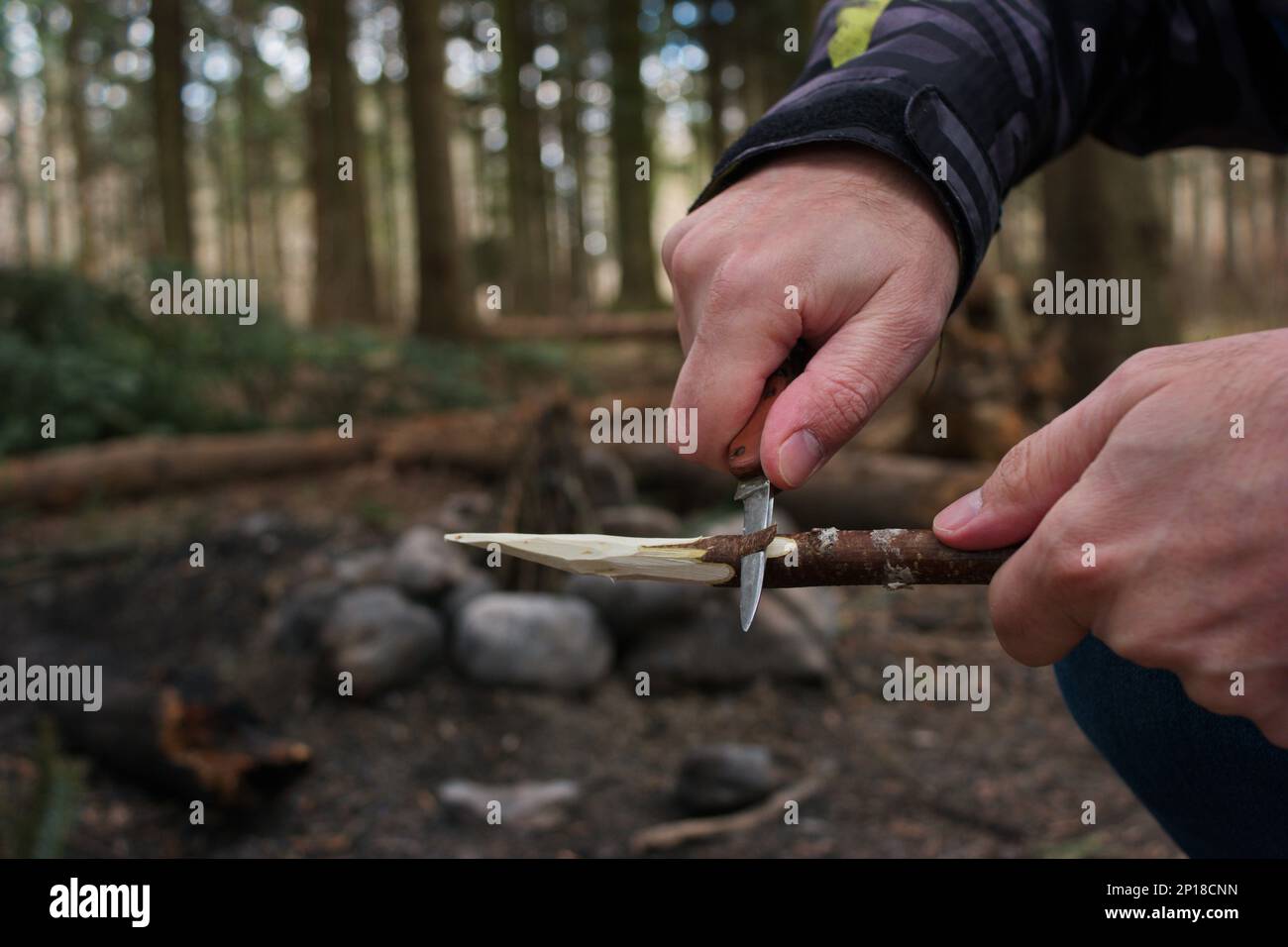 Mano maschio caucasica nella giacca invernale affilando uno spiedino di legno con un coltello da tasca non descritto primo piano sparato irriconoscibile. Foto Stock