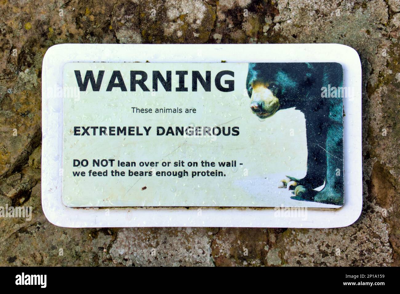 questi animali sono estremamente pericolosi allerta orso allo zoo di edimburgo Foto Stock