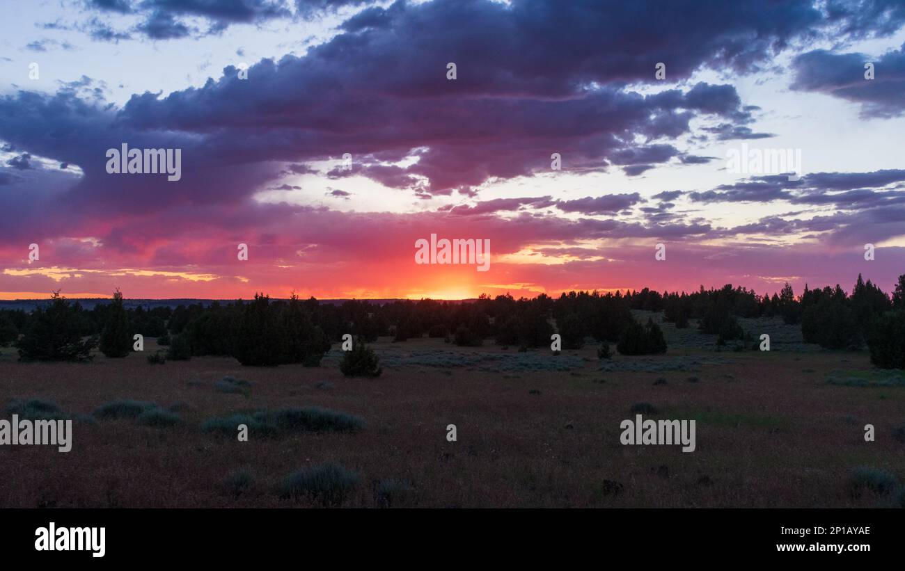 Splendido tramonto rosa nella Steens Mountain Protection Area, Oregon Foto Stock