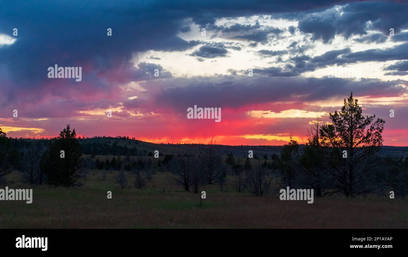 Splendido tramonto rosa nella Steens Mountain Protection Area, Oregon Foto Stock