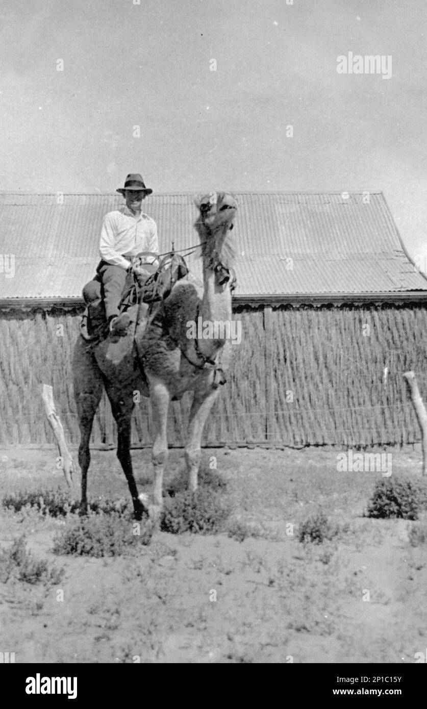 Il Constable della polizia William Patrick Boyle montato su un cammello, Birdsville, Queensland, Australia, 1927 Foto Stock