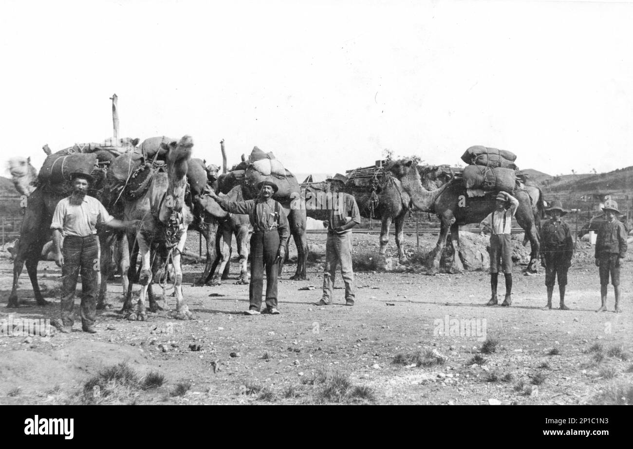 Caricamento di cammelli con merci destinate a Urandangie da Duchessa, Queensland, probabilmente 1900 Foto Stock