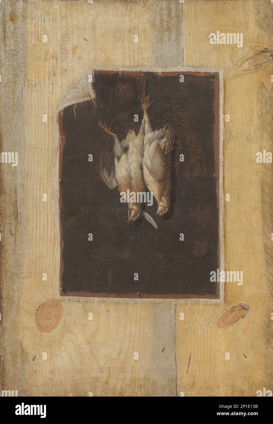 Trompe l'Oeil. Partizione del tabellone con una vita morta di due uccelli morti appeso a un muro, 1670-1674. Foto Stock Trompe l'Oeil. Partizione del tabellone con una vita morta di due uccelli morti appeso a un muro, 1670-1674. Foto Stock