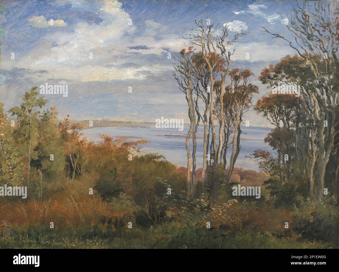 Kolås Wood, Vejrhoj, 1846. Foto Stock