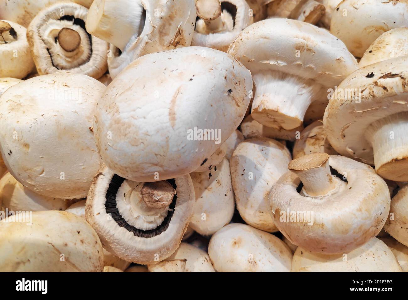 Primo piano su una pila di funghi comuni (Agaricus bisporus) per la vendita in una bancarella del mercato. Foto Stock