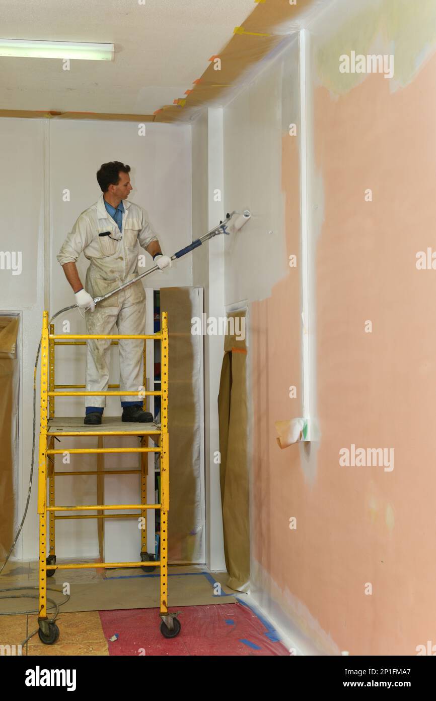 Un pittore applica una mano di fondo acrilica alle pareti interne di un edificio di ristrutturazione vicino Greymouth, South Island, Nuova Zelanda Foto Stock