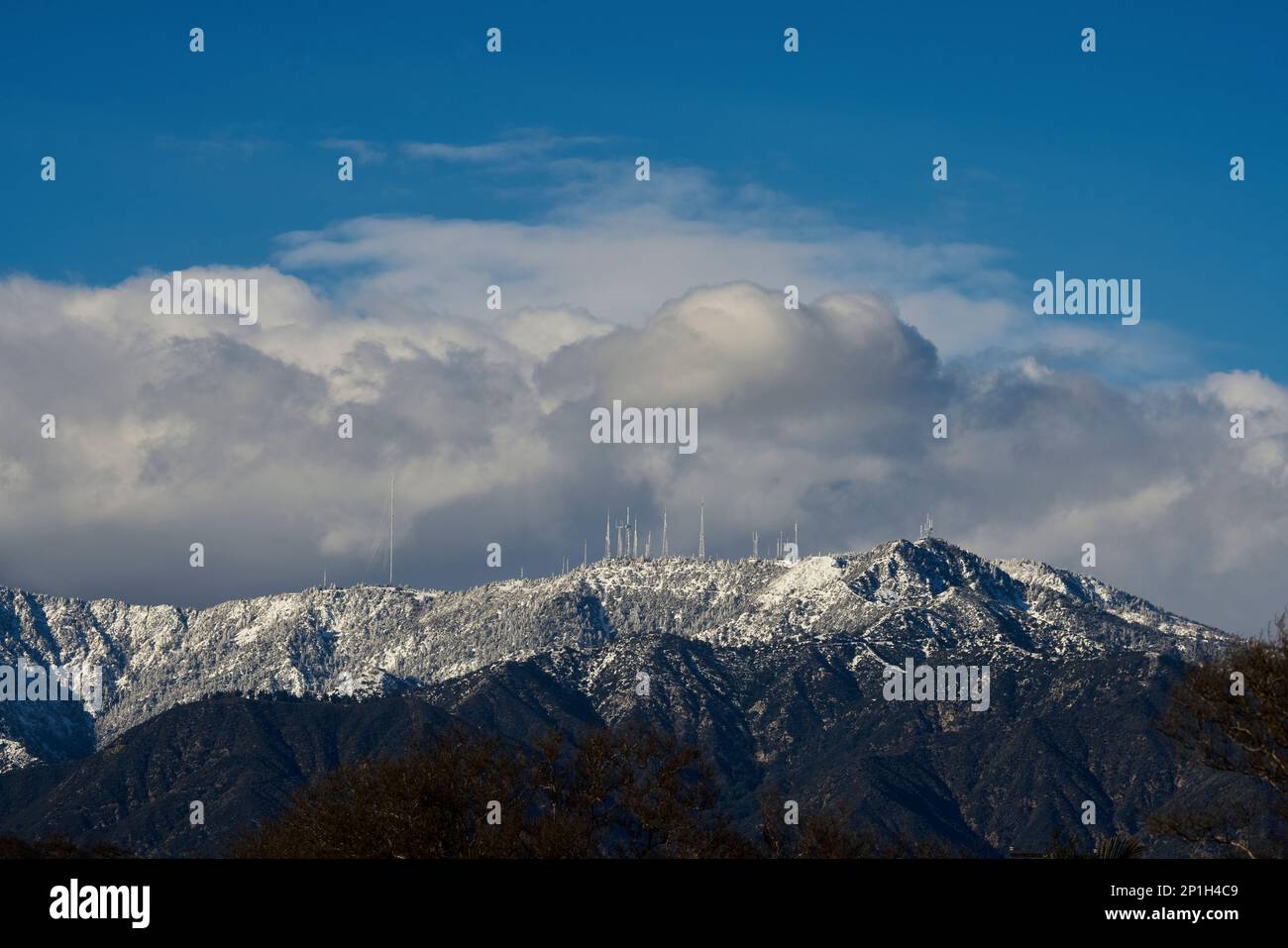 Innevato Mt Wilson Foto Stock