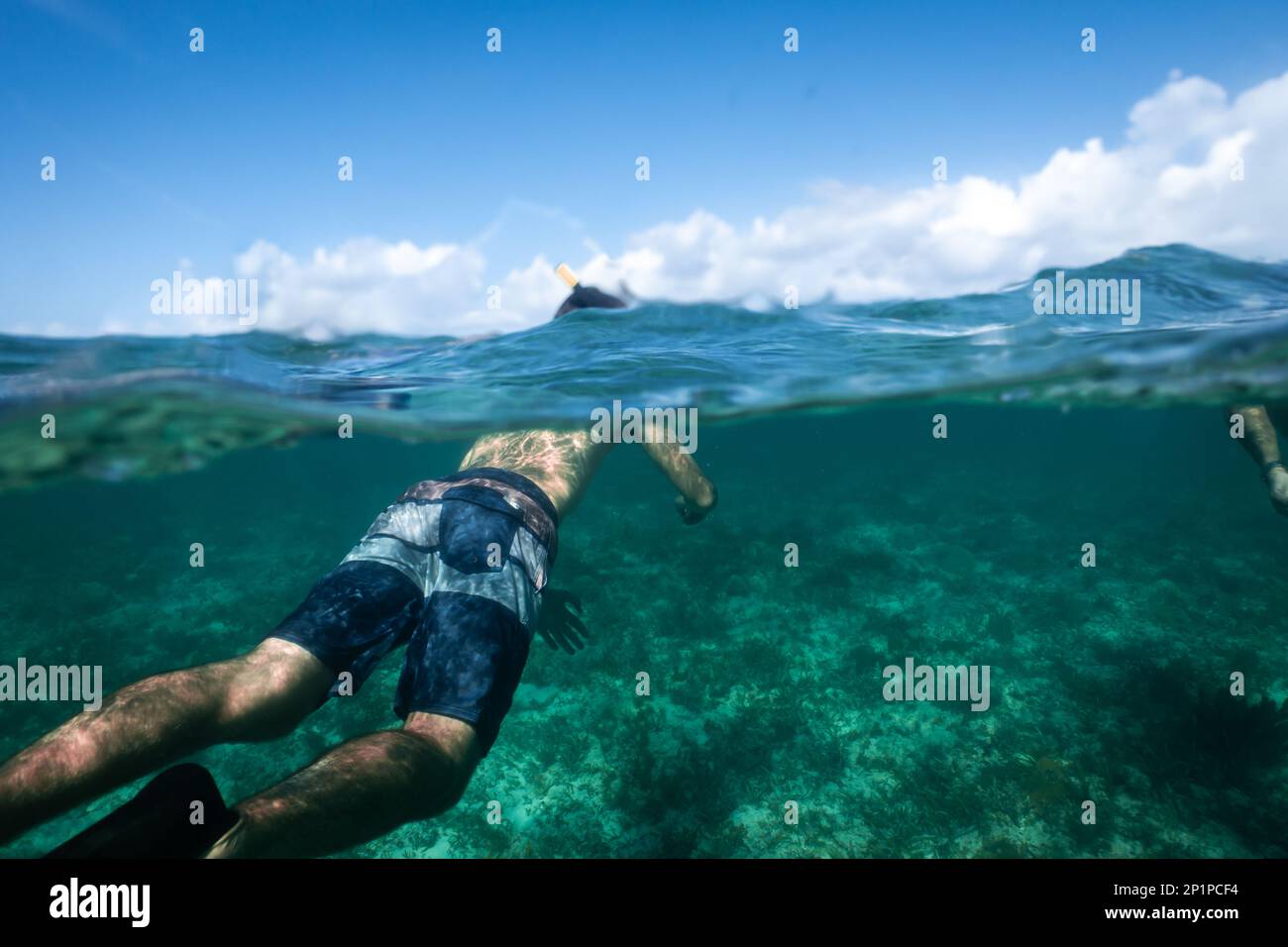 Mezza foto subacquea, o foto a livello diviso, di un uomo che fa snorkeling nell'oceano turchese nelle Isole Turks e Caicos, Caraibi, sopra una barriera corallina. Foto Stock