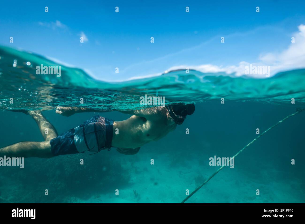 Isole Providenciales, Turks e Caicos - 3 2023 marzo: Uno snorkeler/subacqueo esplora le teste dei coralli allo Smith's Reef, un popolare punto locale per lo snorkeling. Foto Stock