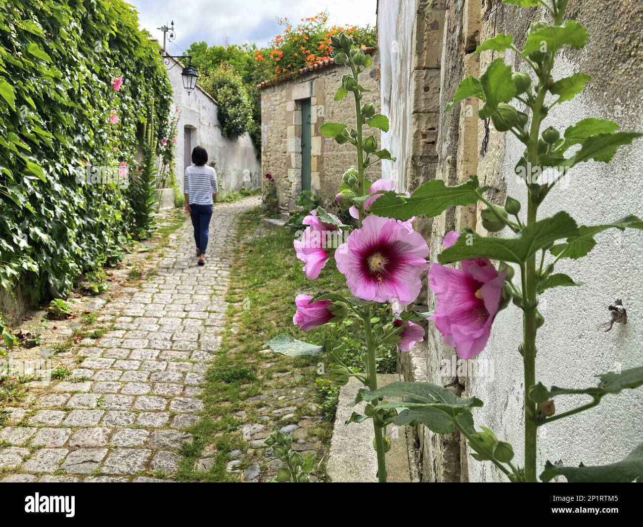 Francia, Charente-Maritilme (17) Isola Re, villaggio di la flotte, il porto Foto Stock