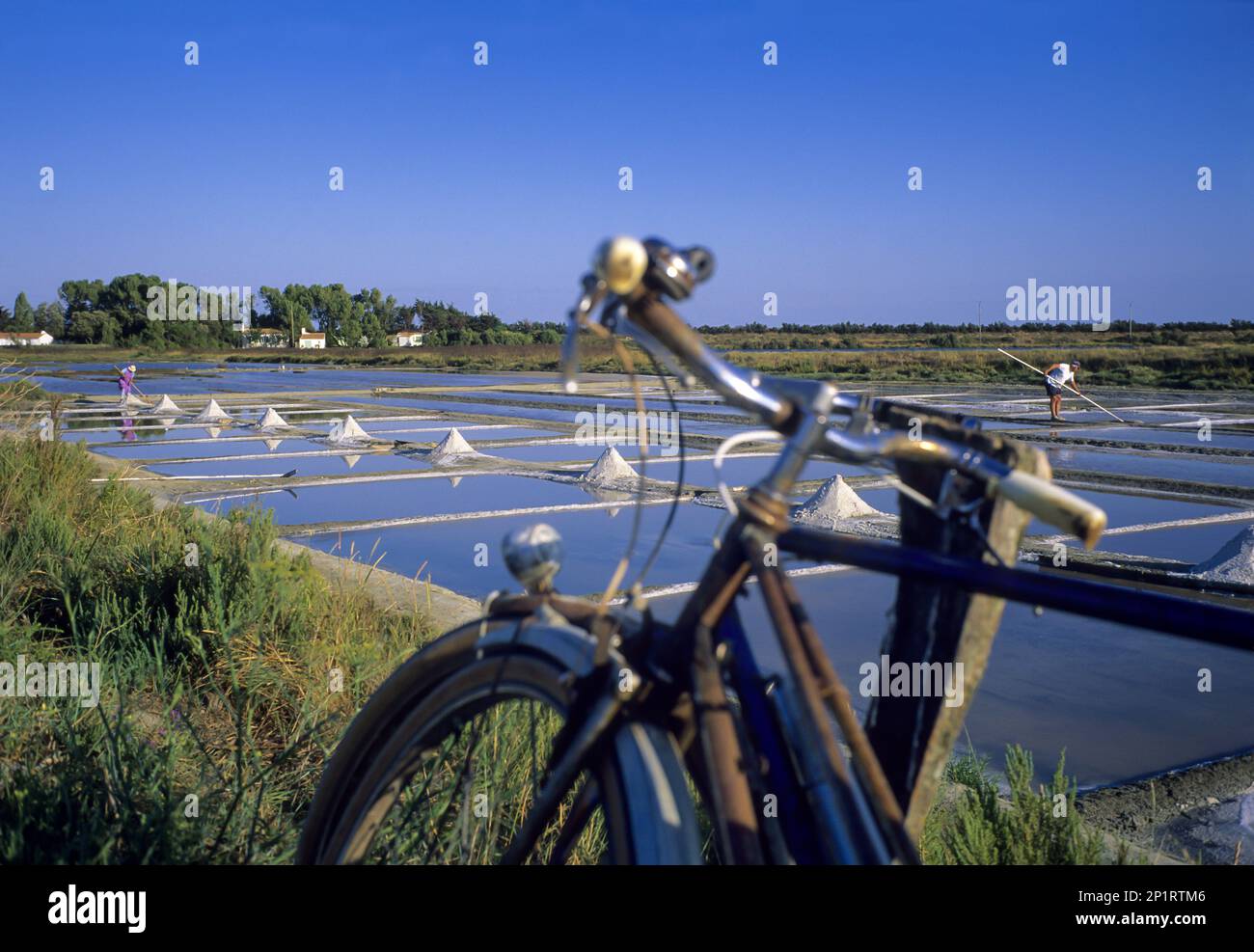 Francia. Charente Maritime (17) Ile de Re, dintorni del villaggio di Ars en Re, saline Foto Stock