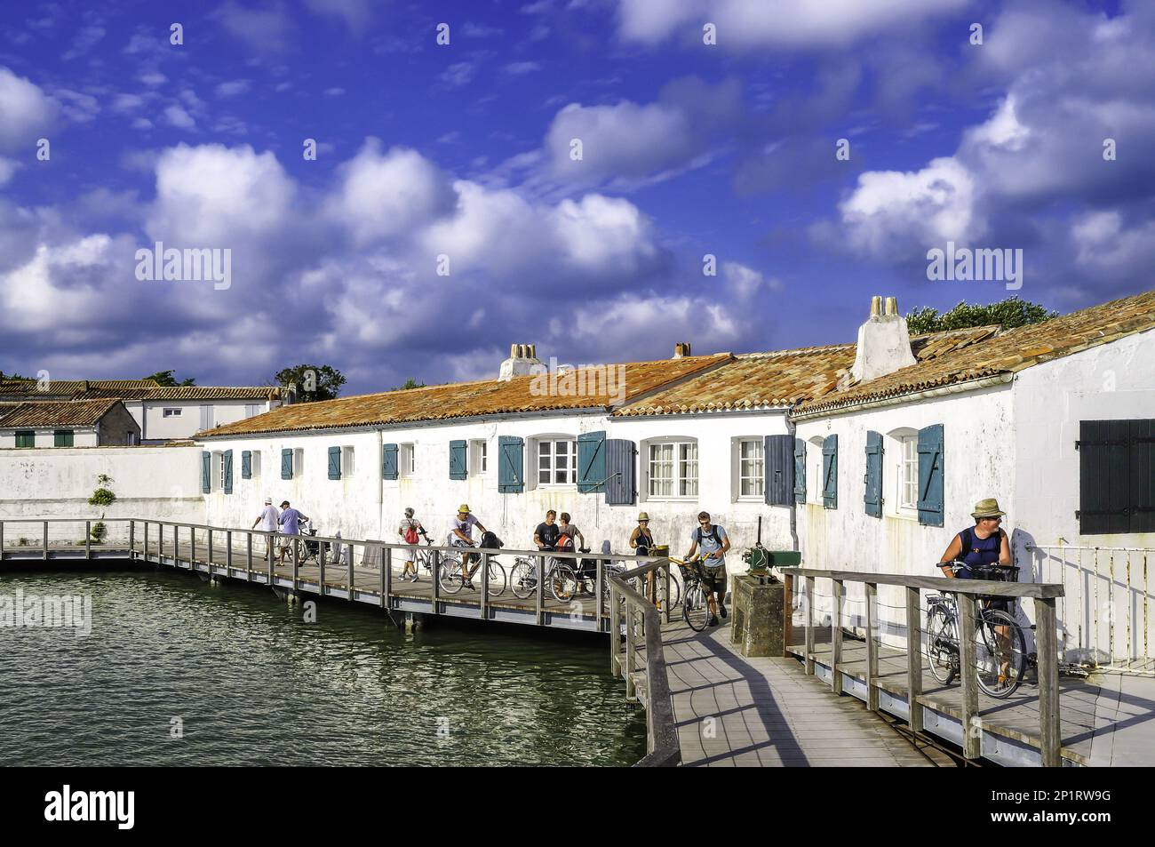 Francia. Charente-Maritime (17) Ile de Re, Loix, pista ciclabile Foto Stock