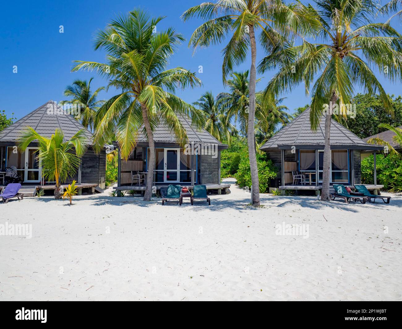 Isola di vacanza nelle Maldive, con piscina, capanne, e lettini, Maldive, Oceano Indiano, Asia Foto Stock