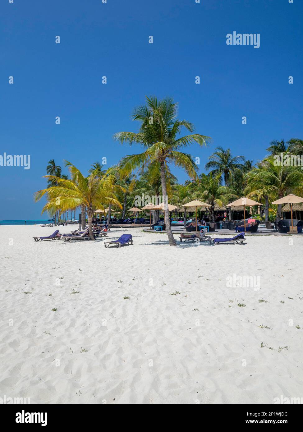 Isola di vacanza nelle Maldive, con piscina, capanne, e lettini, Maldive, Oceano Indiano, Asia Foto Stock