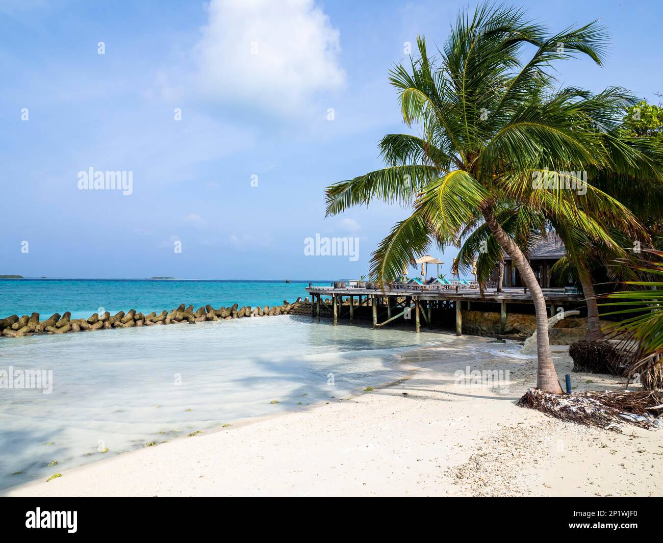 Isola di vacanza nelle Maldive, con piscina, capanne, e lettini, Maldive, Oceano Indiano, Asia Foto Stock