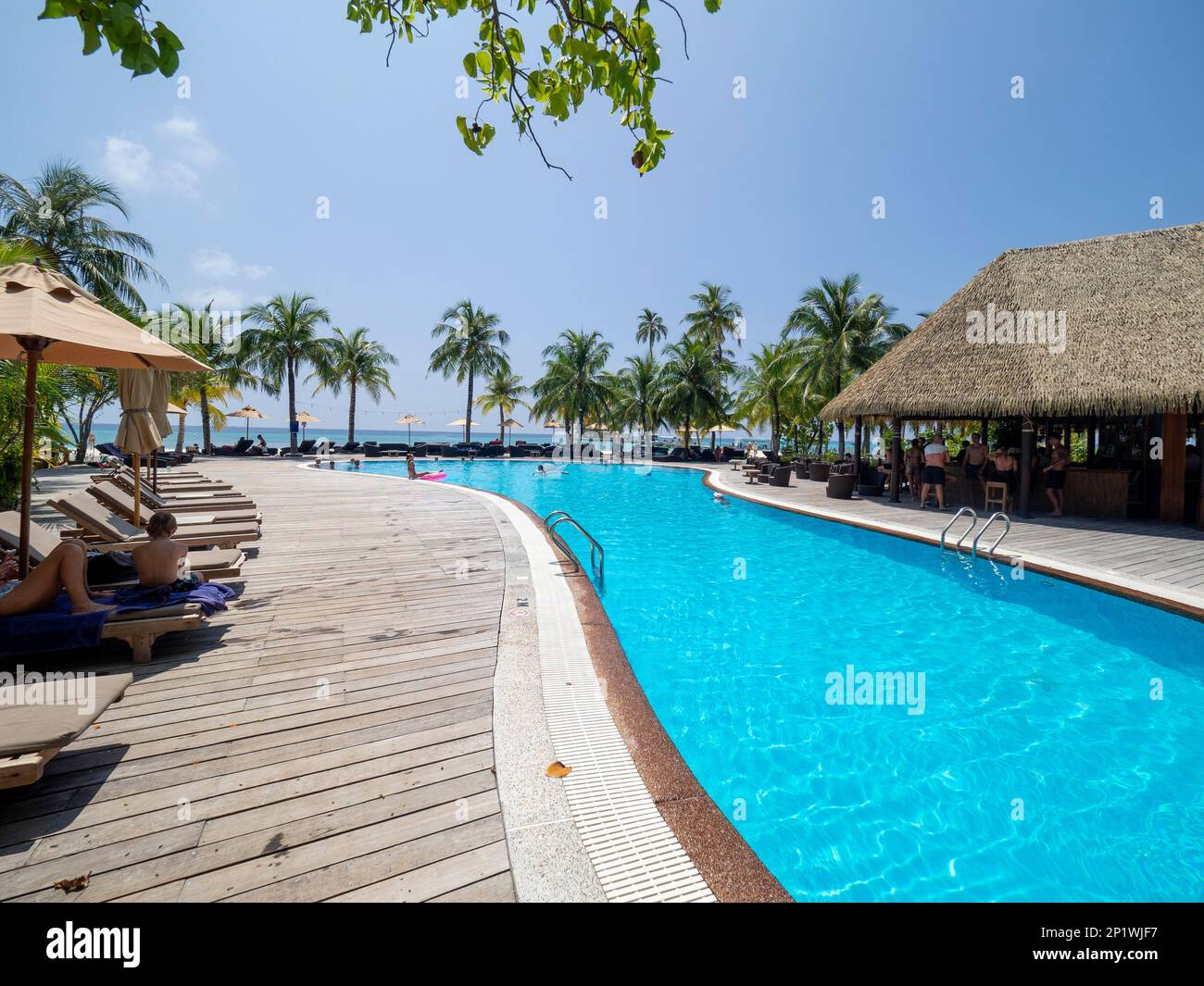 Isola di vacanza nelle Maldive, con piscina, capanne, e lettini, Maldive, Oceano Indiano, Asia Foto Stock