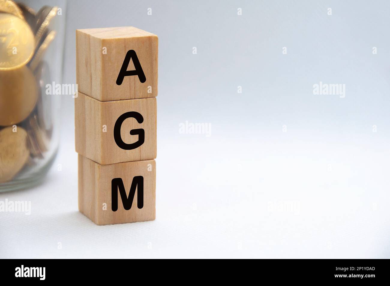 Testo AGM su blocchi di legno con sfondo bianco. Concetto di assemblea generale annuale. Foto Stock