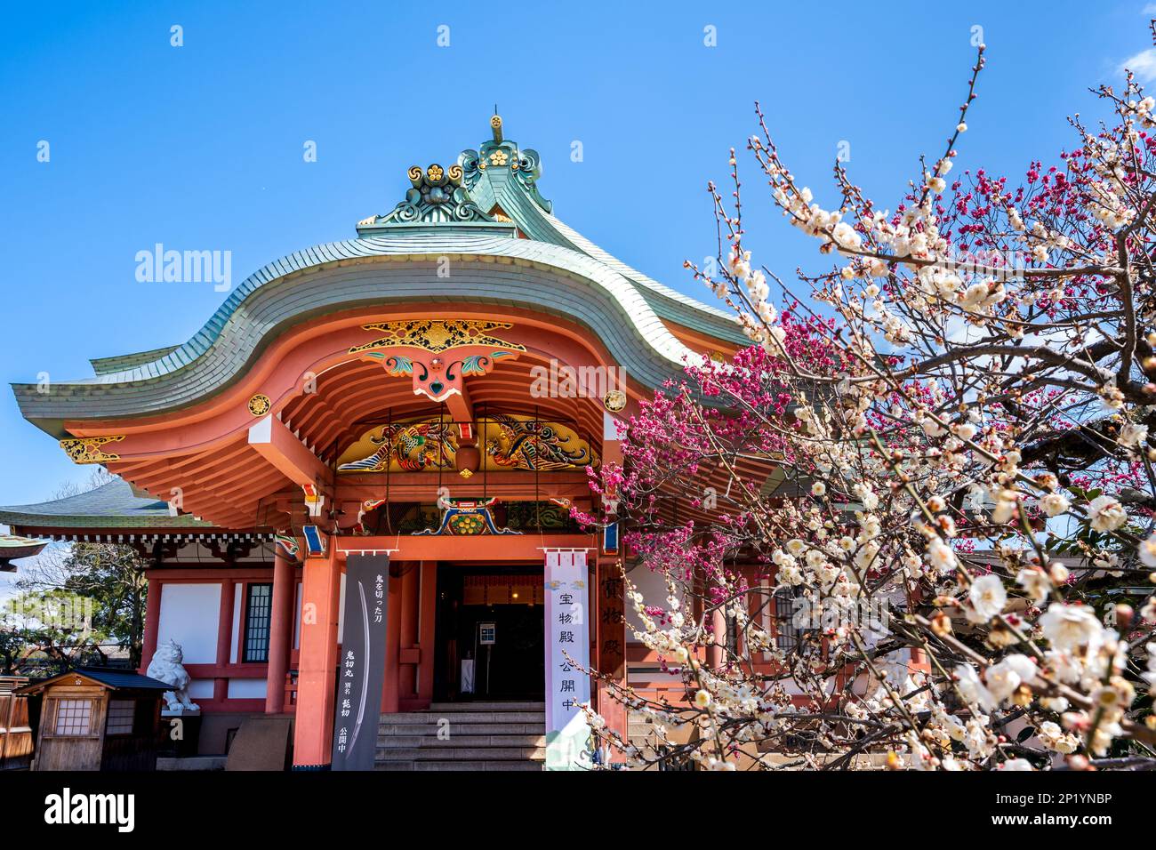 Kyoto, Giappone - 03 2023 marzo : Festival della fioritura delle prugne nel Santuario di Kitano Tenmangu in primavera. Foto Stock