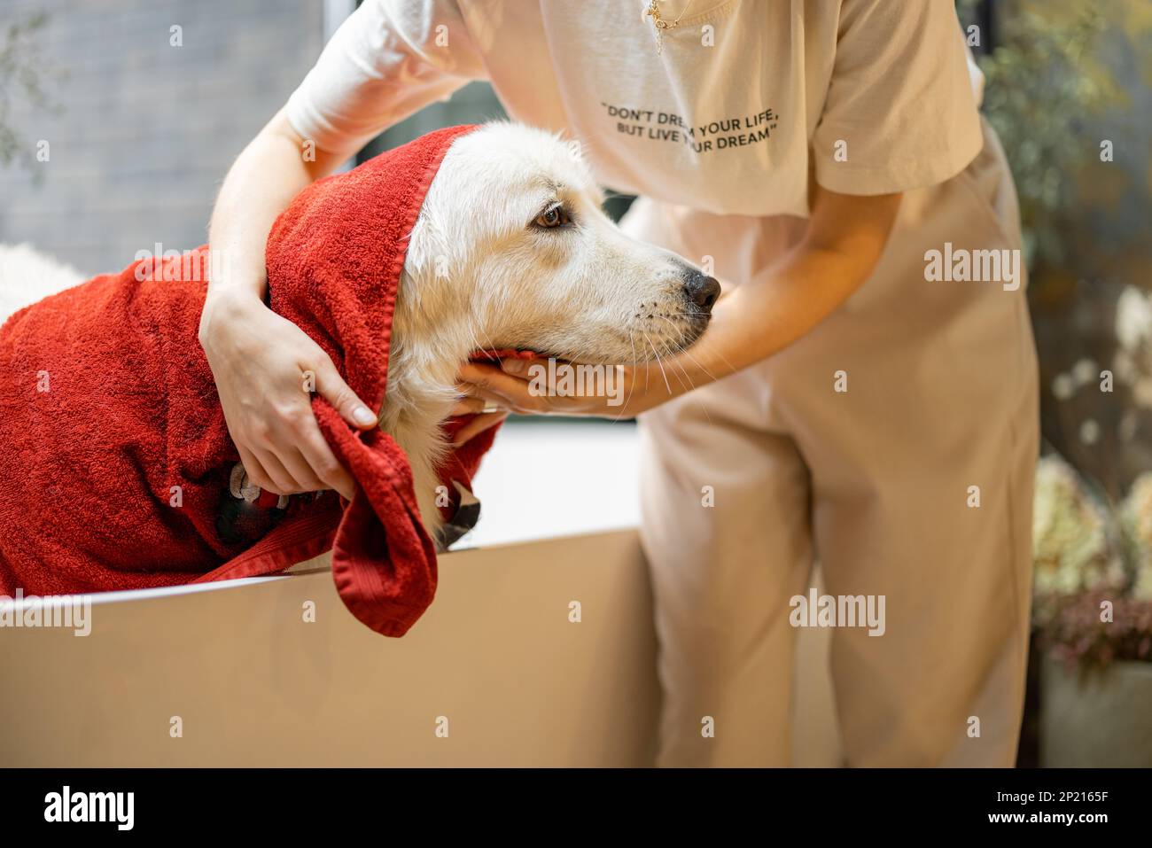La donna pulisce il suo cane con un asciugamano dopo il bagno Foto stock -  Alamy