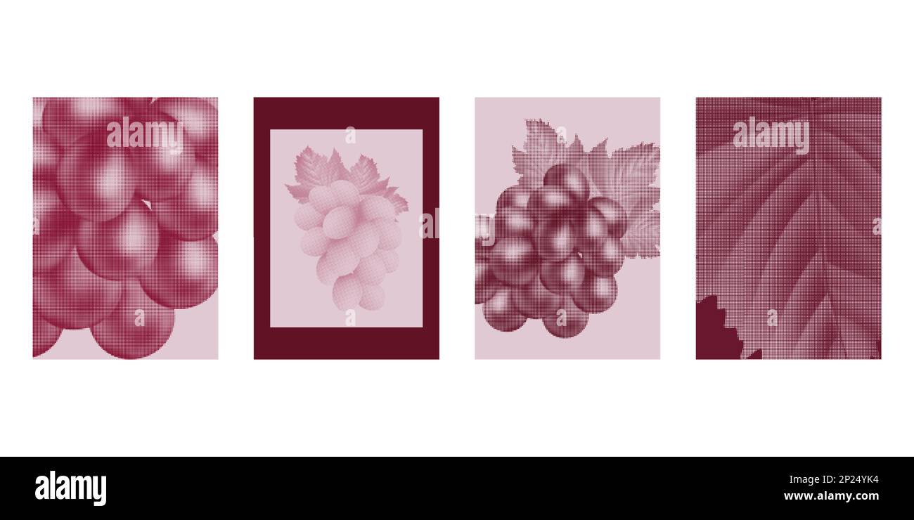 Set di stampa per magliette con vino d'uva, texture rosa. Motivo schermo vigneto, report grafico decorativo, frutti creativi realistici e foglie. Etichette per succhi di frutta o copertine per menu di bevande. Poster con illustrazioni vettoriali Illustrazione Vettoriale