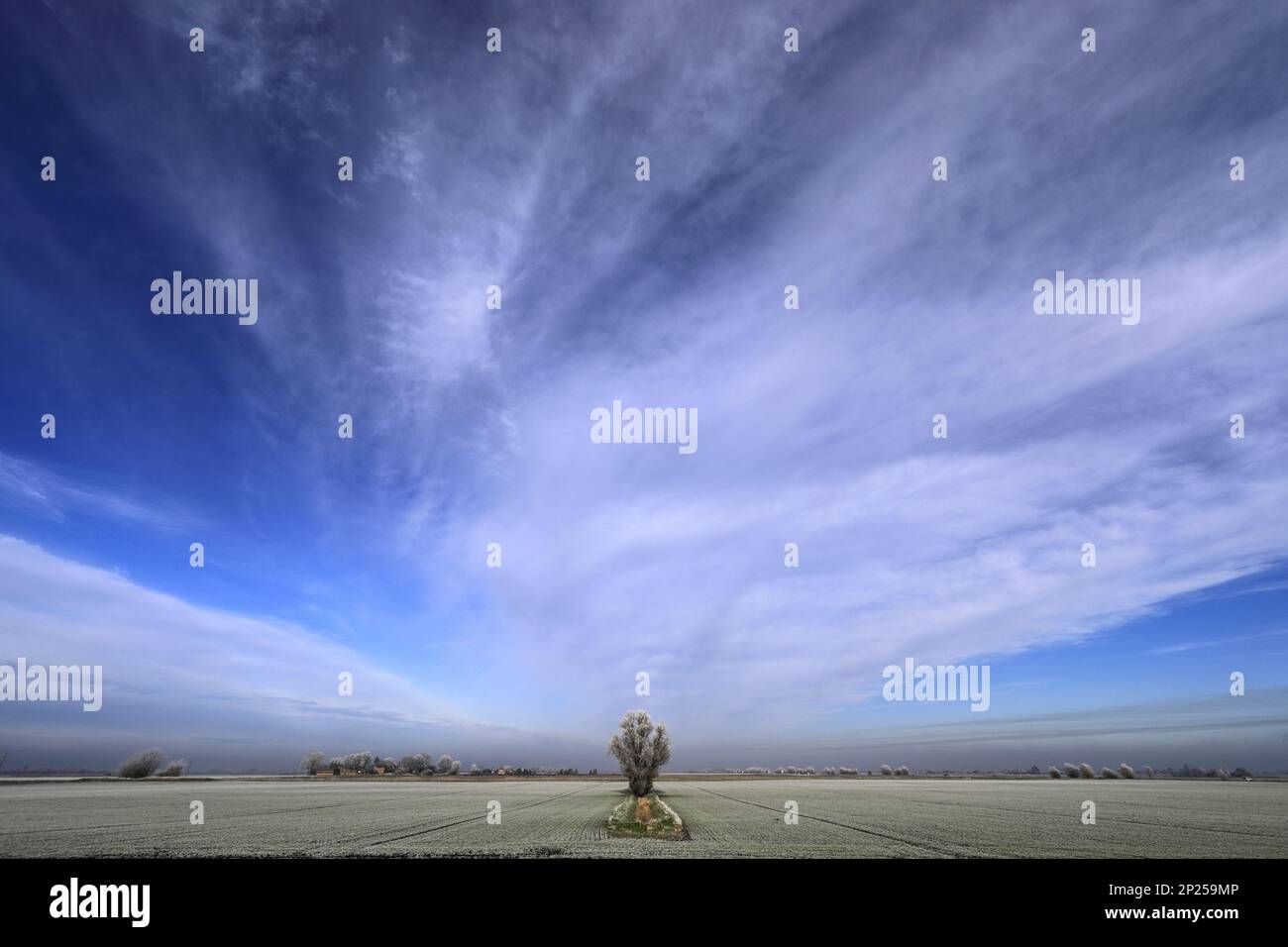 Gelo invernale su alberi e campi vicino alla città di Wisbech, Cambridgeshire, Inghilterra, Regno Unito Foto Stock