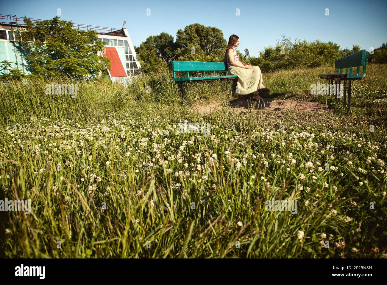 Calma giovane ragazza seduta su una panchina in un campo con erba e fiori di campo. Bella donna con capelli lunghi su un prato in attesa da solo Foto Stock