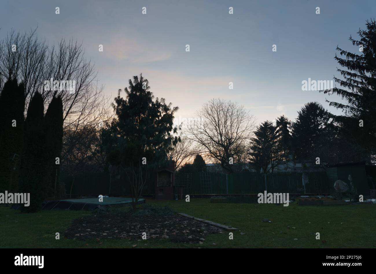 tramonto su un giardino verde e scuro Foto Stock