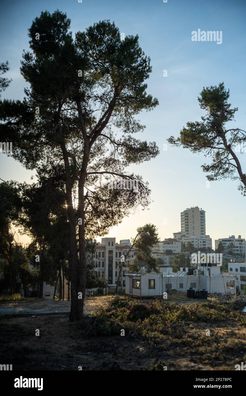 Il paesaggio urbano di Ramallah al tramonto con alti edifici e silhouette di alberi nel primo piano Foto Stock