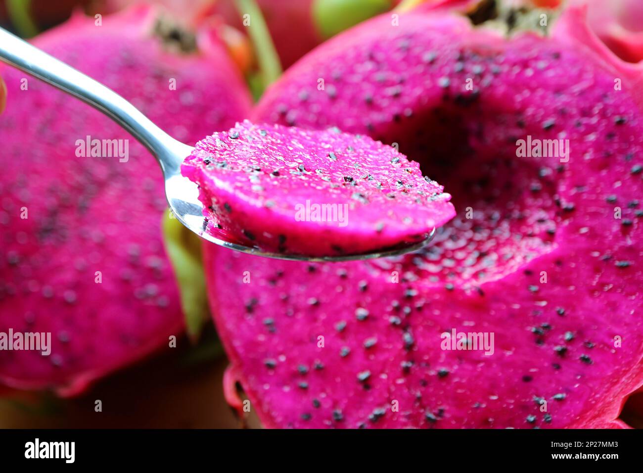 Primo piano di cucchiaino che raccoglie una deliziosa carne rossa di frutti di drago chiamata anche Pink Pitaya o Strawberry Pear Foto Stock